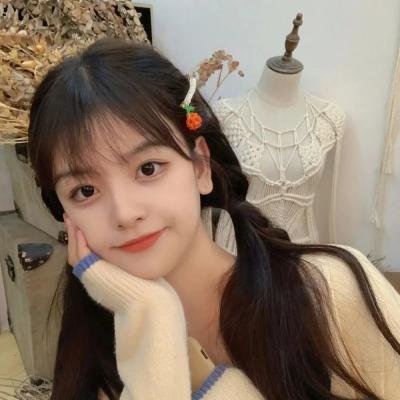 小叮当:羽翼之谜
